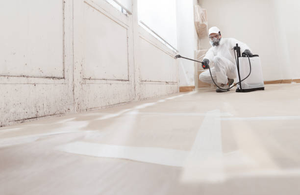 24/7 Emergency Attic Mold Removal experts in Camden, NC